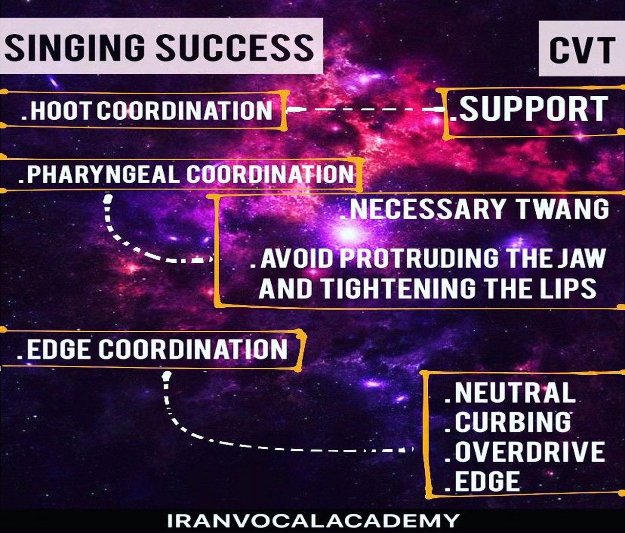CVT & SINGING SUCCESS (Copy)